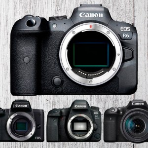 camaras
