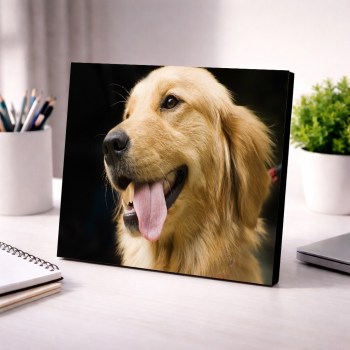foto-regalos